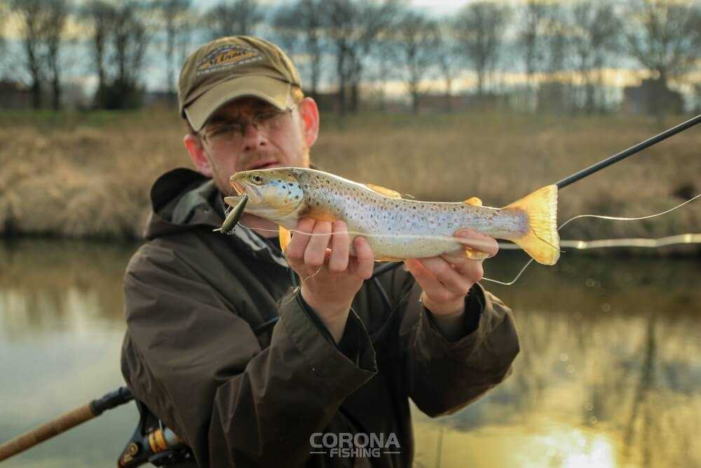 jak łowić pstrąga porady pogoda